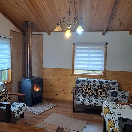 Cabanas Robinson Puerto Puyuguapi Bagian luar foto